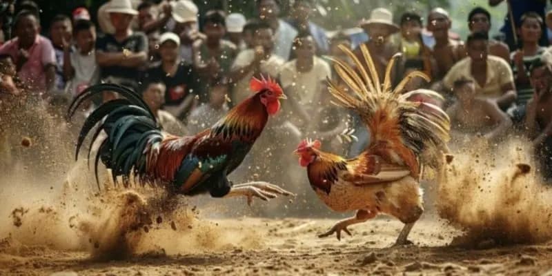 Sân chơi 18win trực tuyến đẳng cấp hàng đầu